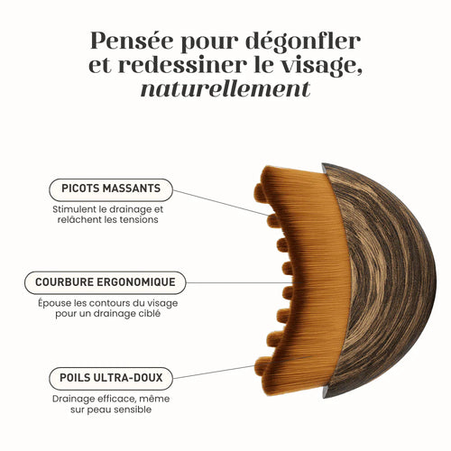Brosse Lymphatique Visage